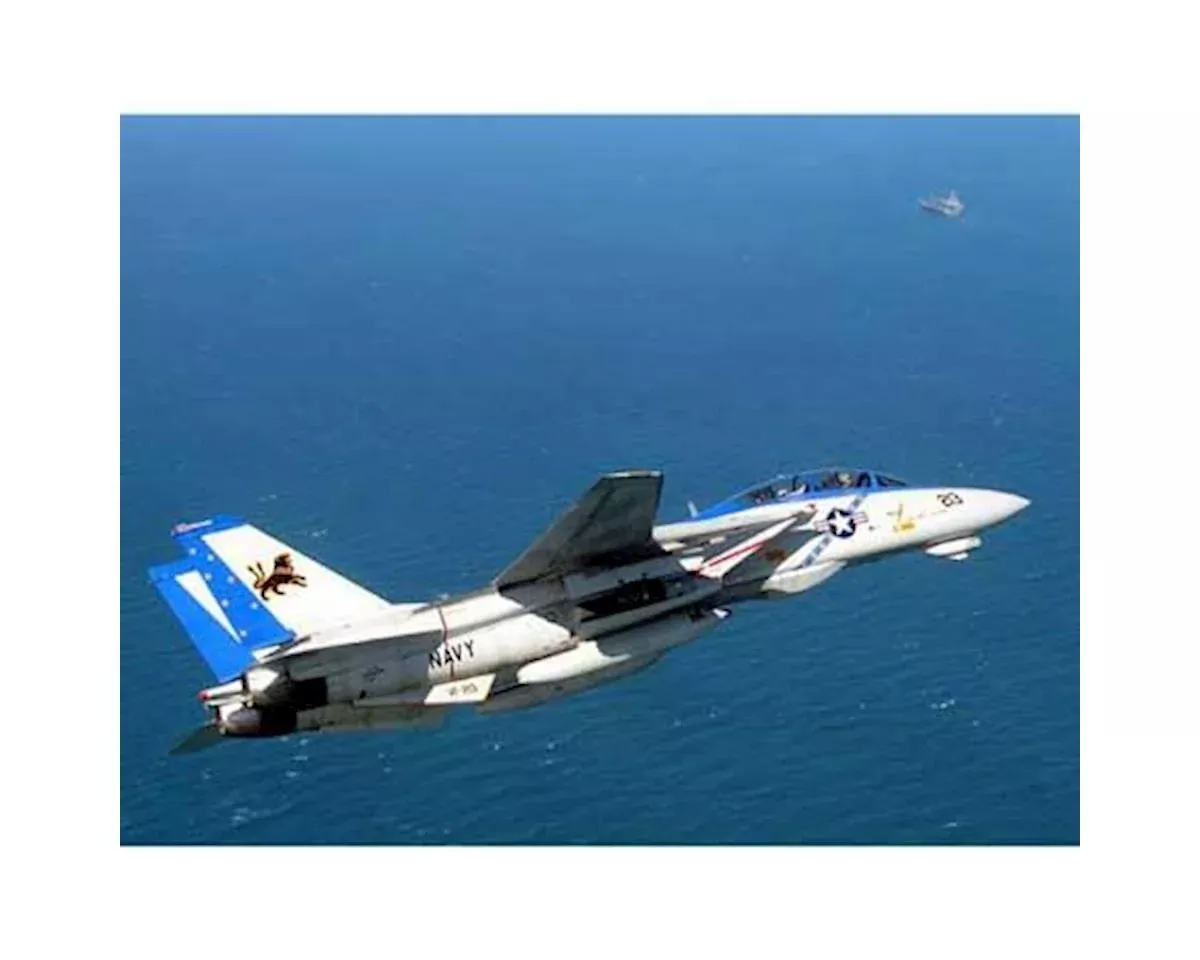 1/48 Grumman F-14D Tomcat Plastic Model Kit (TAM61118)