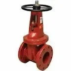 2-1/2″ Kennedy RW Flange X Grooved OSY Fire Tool