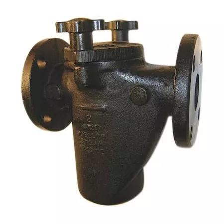 Basket Strainer, 2" Pipe, Flanged, Cast iron, 200 psi at 150 Degrees F