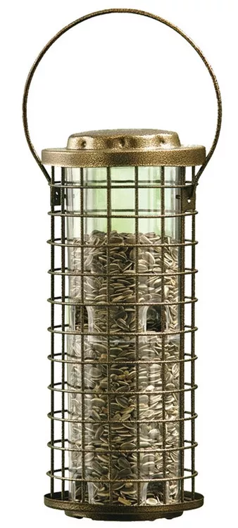 Bird Feeder- Squirrel Stumper