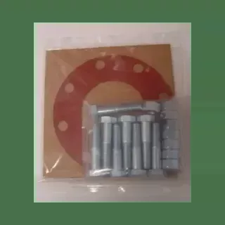 Bolt Nut Gasket Pack