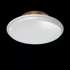 Cover Assembly Concealed Painted Weight 139F Thread