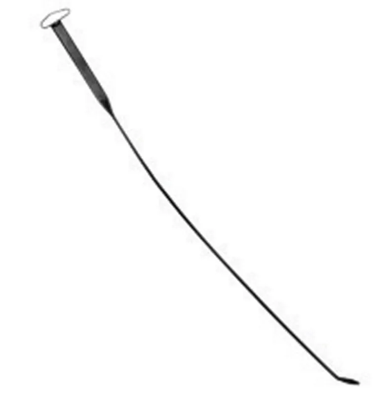 Drain Stick