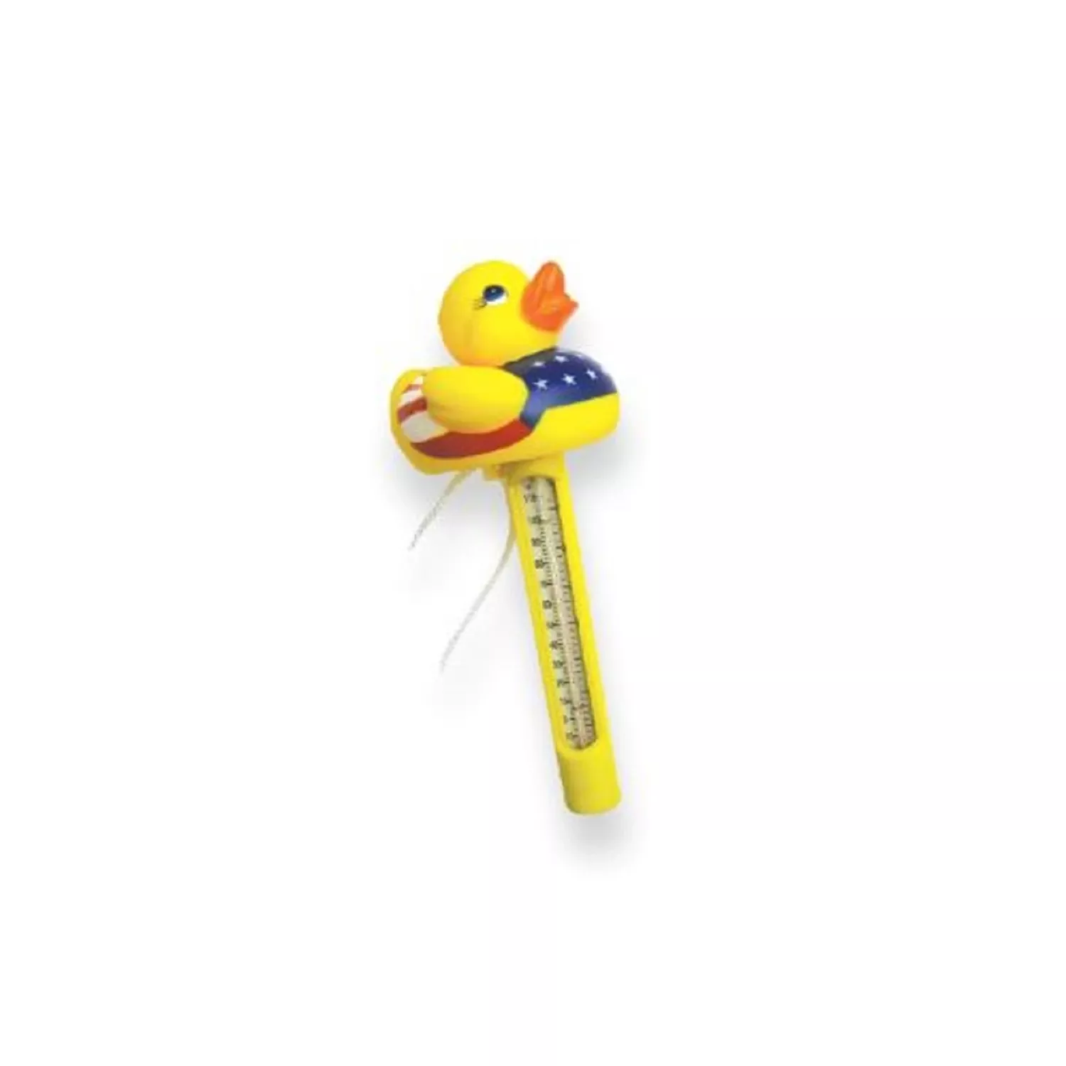 Duck Pool Thermometer