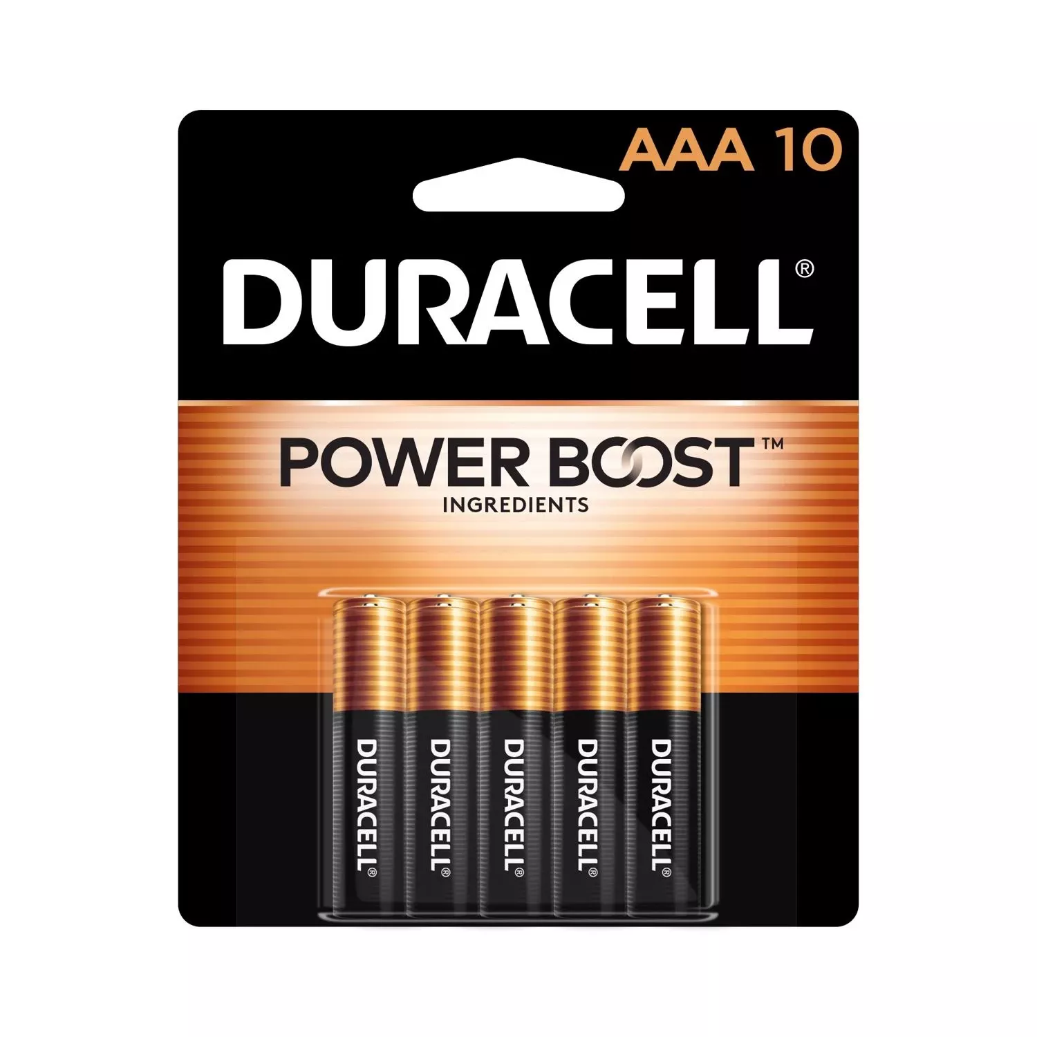 Duracell Coppertop Aaa Alkaline Batteries 10 Pk Carded