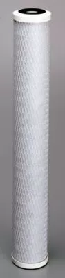Everpure - EV910863 - CG53-20 Water Filter