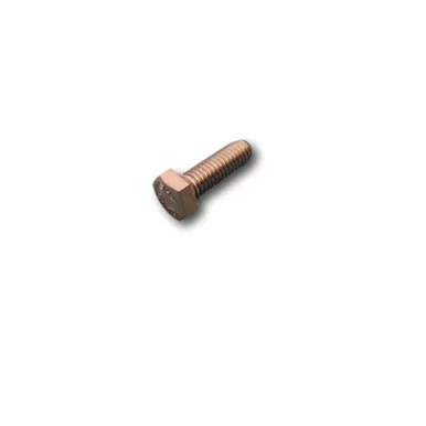 Leonard Valve 16/300 Rf Cover Screw