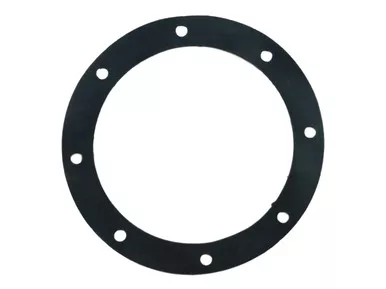 Leonard Valve 21/30 Flange Packing