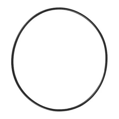O-Ring, PPL3405G