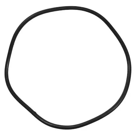 O-Ring, PPTPXX306G
