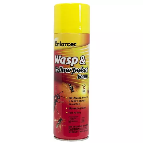 Wasp Killer Foam Spray Aerosol- 12 Oz