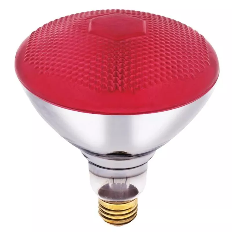Westinghouse 100 W E26 Reflector Incandescent Bulb E26 (medium) Red 1 Pk