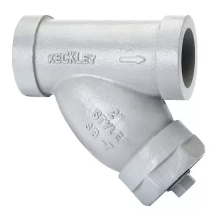 Y Strainer, 1" Pipe, Socket Weld, Carbon Steel
