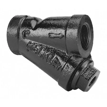 Y Strainer, 2-1/2" Pipe, Threaded, Cast iron